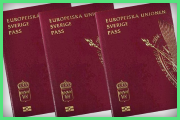 Перевод паспорта со шведского языка